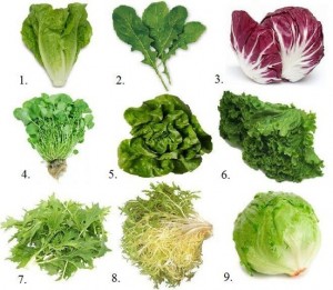 types-of-greens